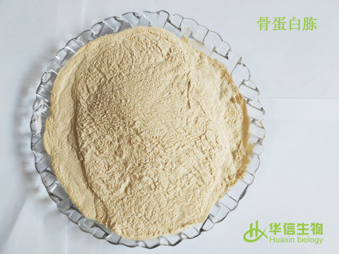 骨蛋白胨