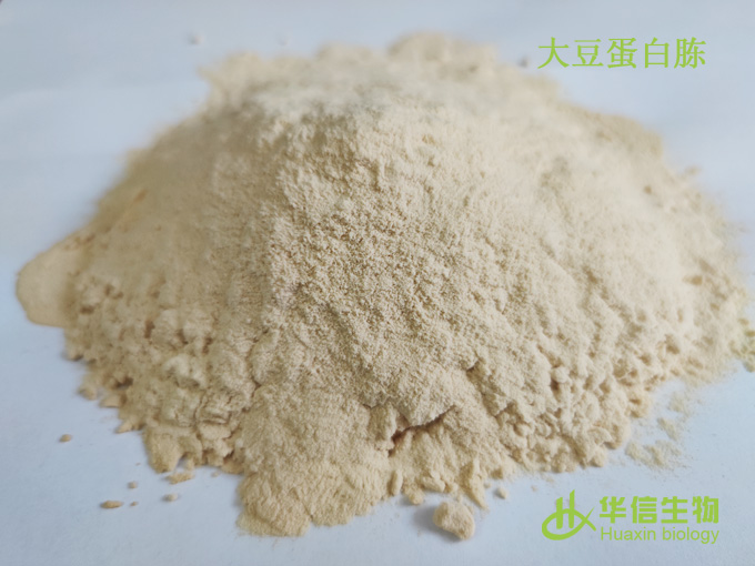 大豆蛋白胨