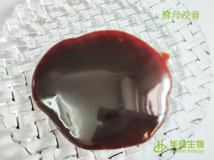 酵母浸膏