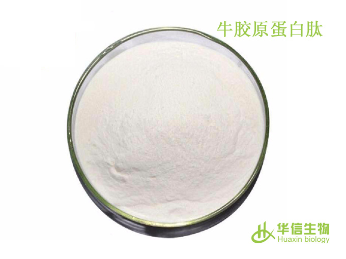 牛胶原蛋白肽