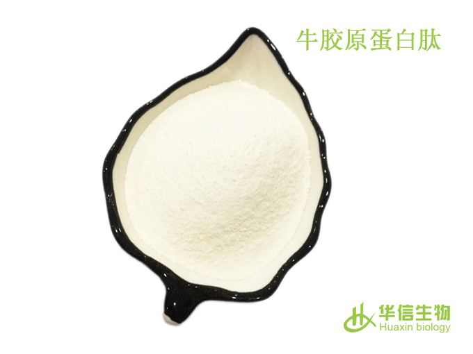 牛胶原蛋白肽